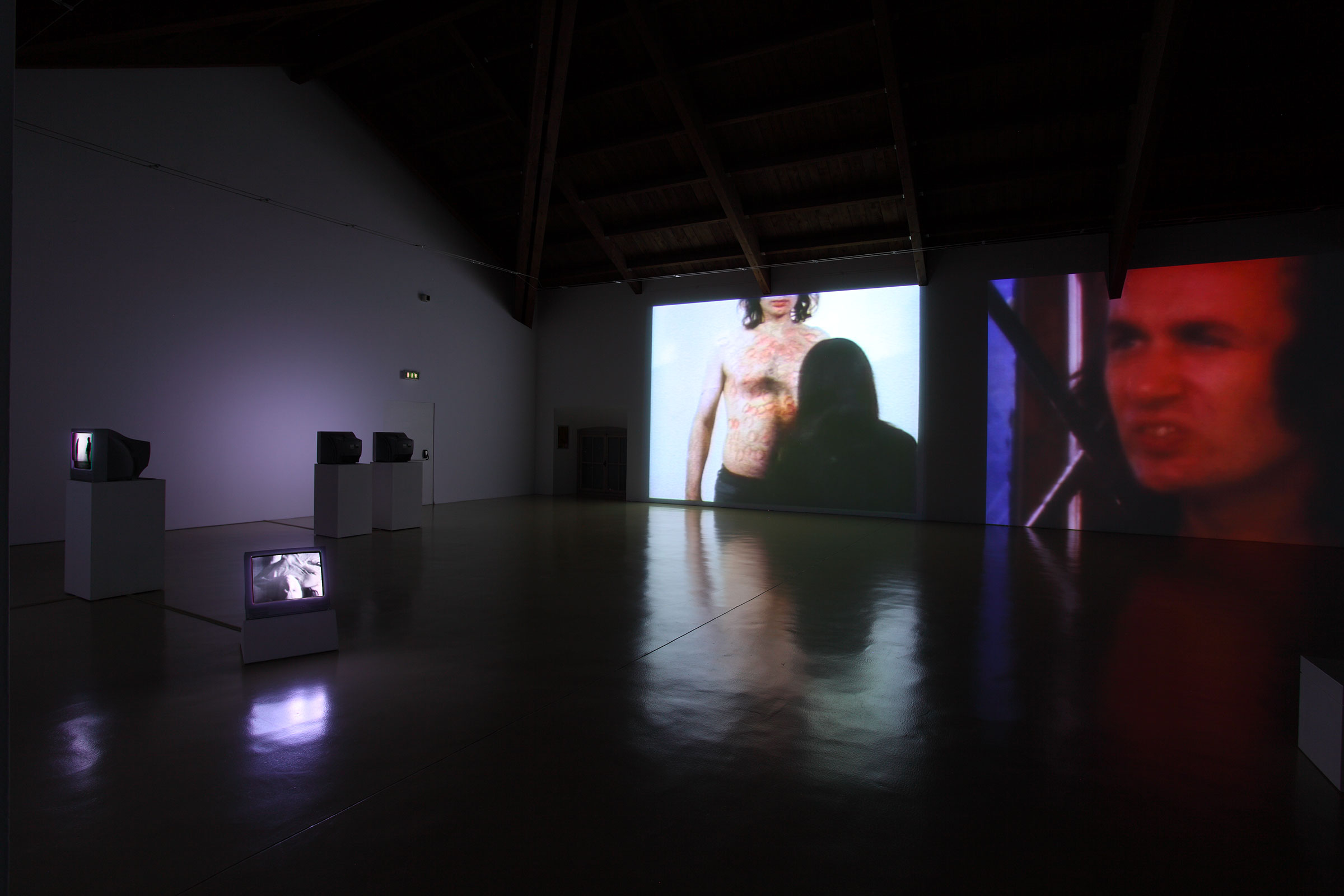 u0022Vito Acconci: u0027Film=Landscape, Video=Close-Upu0027u0022, installation view